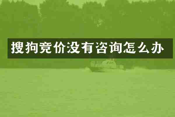 搜狗竞价没有咨询怎么办