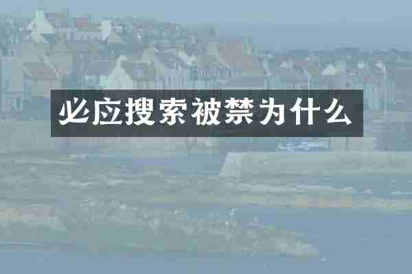 必应搜索被禁为什么