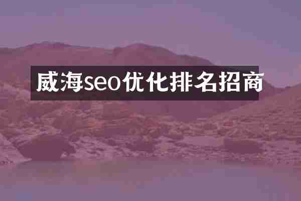 威海seo优化排名招商