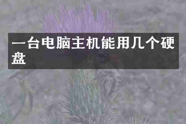 一台电脑主机能用几个硬盘