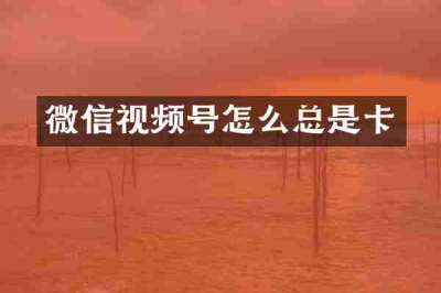 微信视频号怎么总是卡