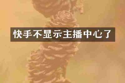 快手不显示主播中心了