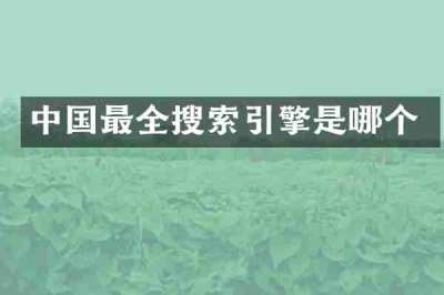中国最全搜索引擎是哪个