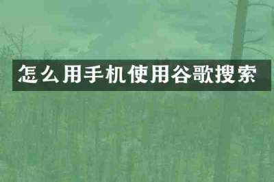 怎么用手机使用谷歌搜索