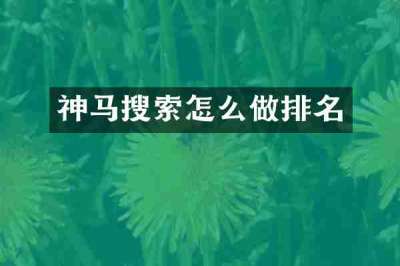 神马搜索怎么做排名