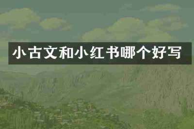 小古文和小红书哪个好写