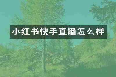 小红书快手直播怎么样