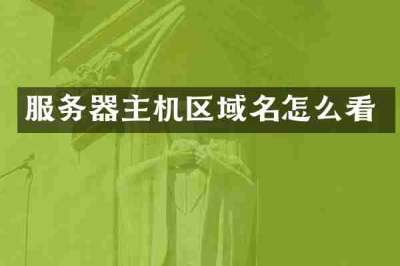 服务器主机区域名怎么看