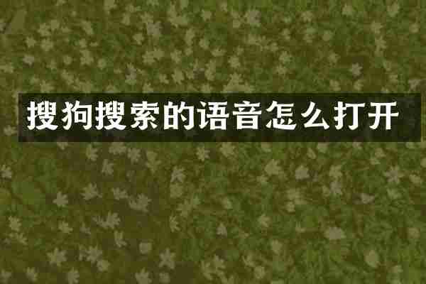 搜狗搜索的语音怎么打开