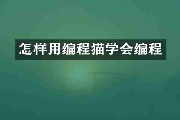 怎样用编程猫学会编程