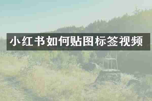 小红书如何贴图标签视频