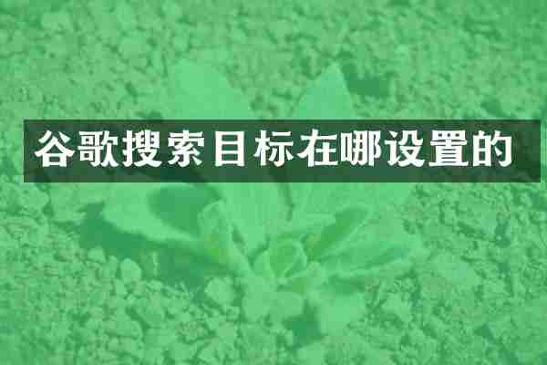 谷歌搜索目标在哪设置的