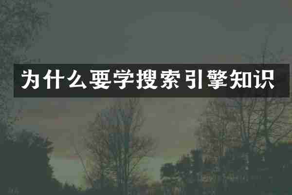 为什么要学搜索引擎知识