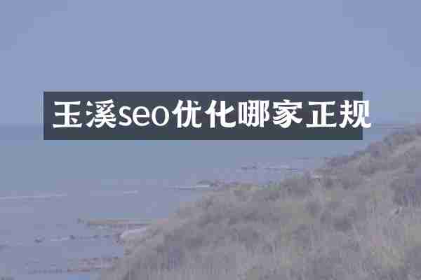 玉溪seo优化哪家正规