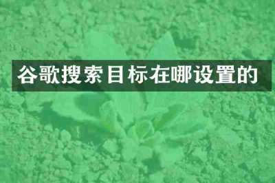 谷歌搜索目标在哪设置的