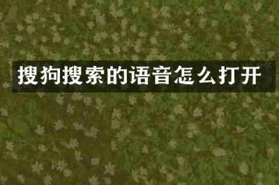 搜狗搜索的语音怎么打开