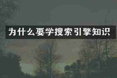 为什么要学搜索引擎知识