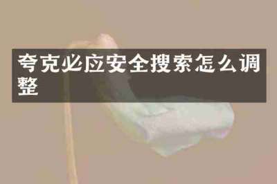 夸克必应安全搜索怎么调整