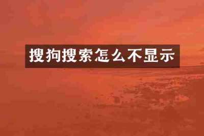 搜狗搜索怎么不显示
