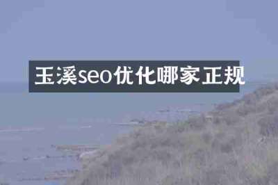 玉溪seo优化哪家正规