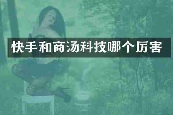 快手和商汤科技哪个厉害