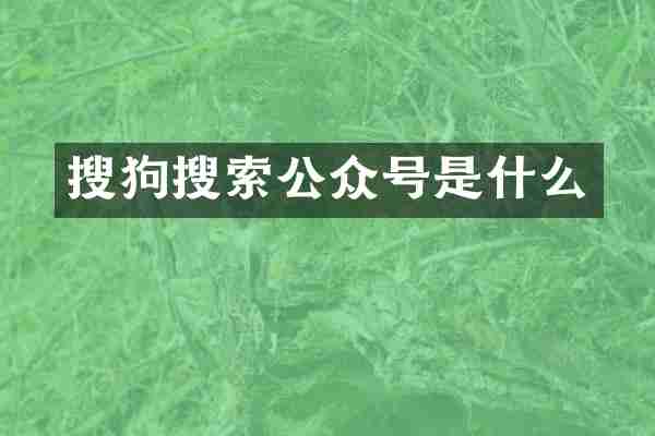 搜狗搜索公众号是什么