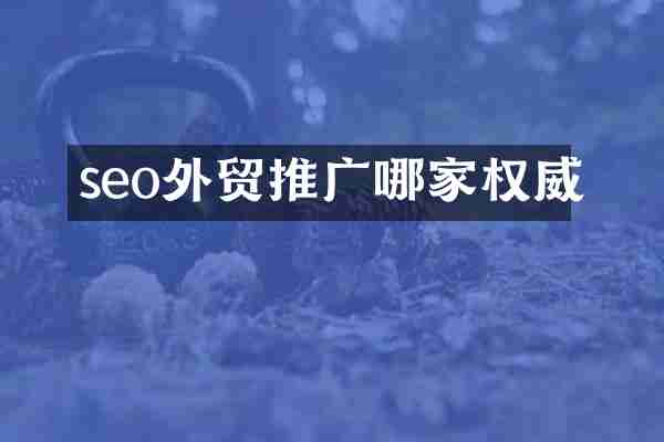 seo外贸推广哪家权威