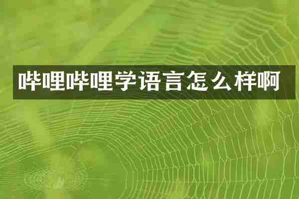 哔哩哔哩学语言怎么样啊