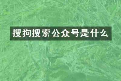 搜狗搜索公众号是什么