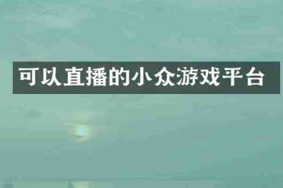 可以直播的小众游戏平台