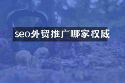 seo外贸推广哪家权威