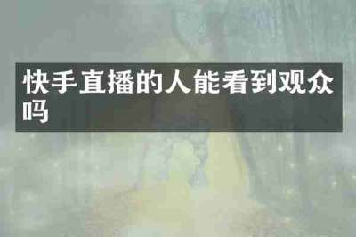 快手直播的人能看到观众吗