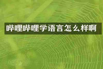 哔哩哔哩学语言怎么样啊