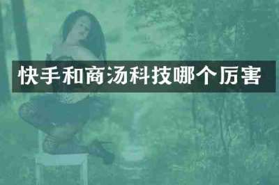快手和商汤科技哪个厉害