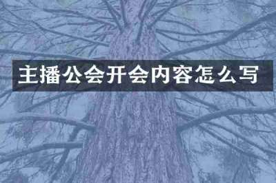 主播公会开会内容怎么写