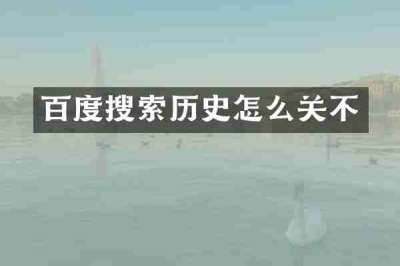 百度搜索历史怎么关不