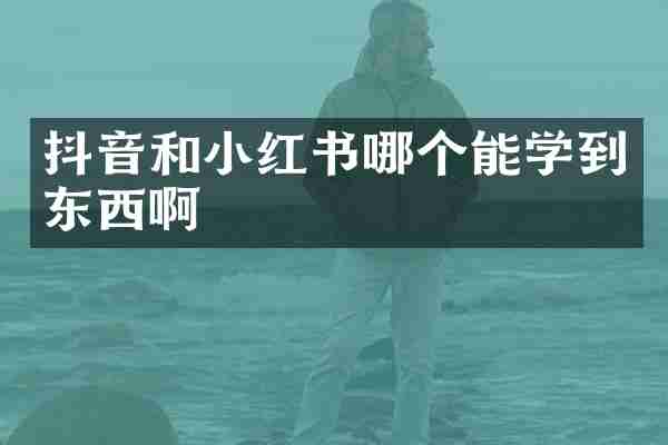 抖音和小红书哪个能学到东西啊