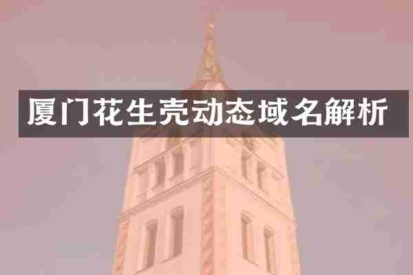 厦门花生壳动态域名解析