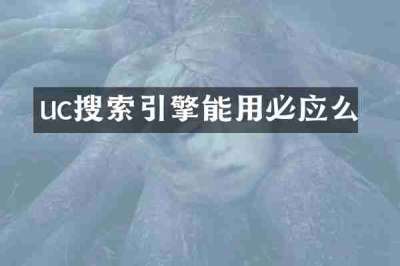 uc搜索引擎能用必应么