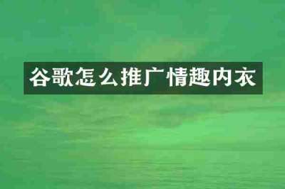 谷歌怎么推广情趣内衣