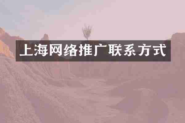 上海网络推广联系方式