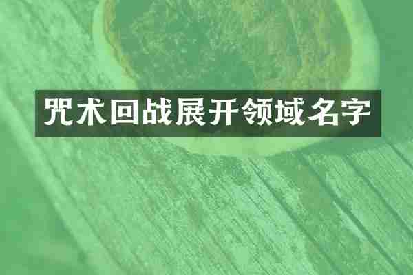 咒术回战展开领域名字