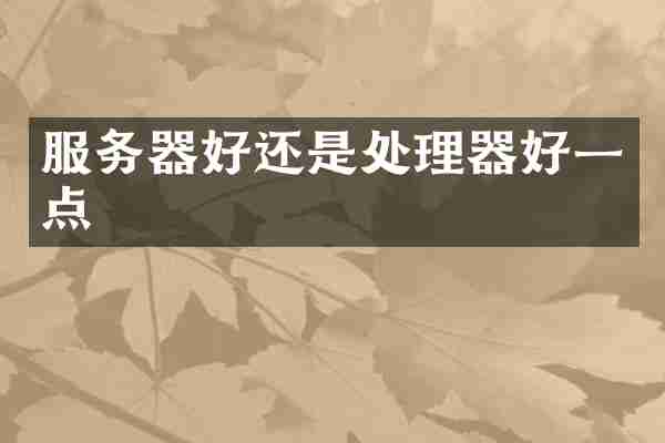 服务器好还是处理器好一点