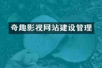 奇趣影视网站建设管理