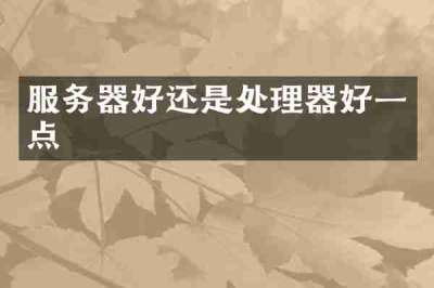 服务器好还是处理器好一点