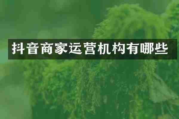 抖音商家运营机构有哪些