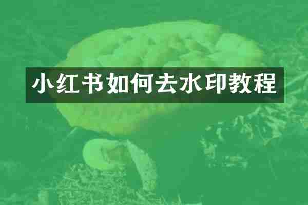 小红书如何去水印教程