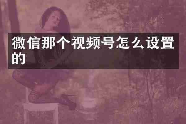 微信那个视频号怎么设置的