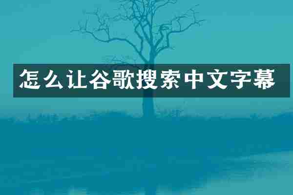 怎么让谷歌搜索中文字幕