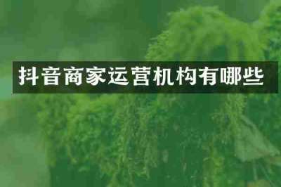 抖音商家运营机构有哪些